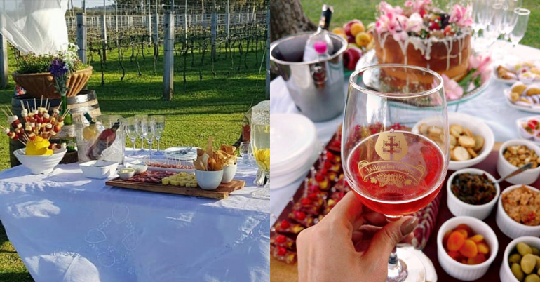 Leia mais sobre o artigo Primavera é a estação certa para Wine Garden na Malgarim Vinhos
