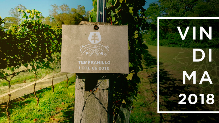 Você está visualizando atualmente Castas Cabernet Sauvignon e Tempranillo são destaques da Vindima da Malgarim Vinhos